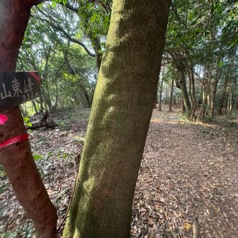 とおちゃこ
何が窪みがあるな