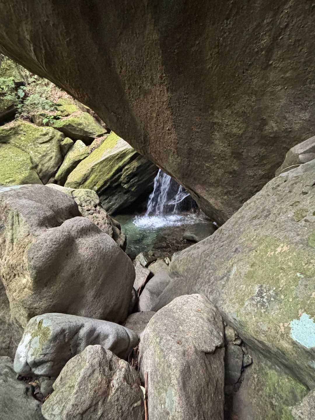 百間山 周回コースの写真
