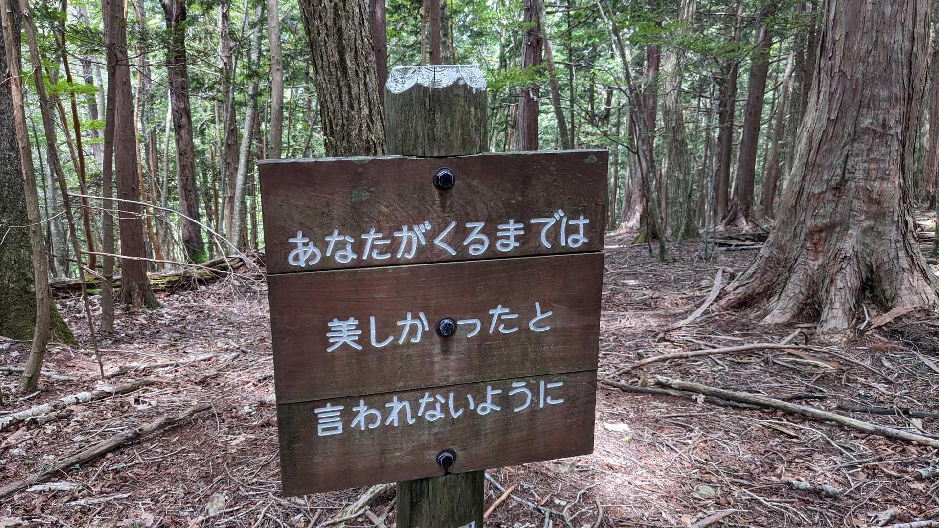 今度は説教してくる😓