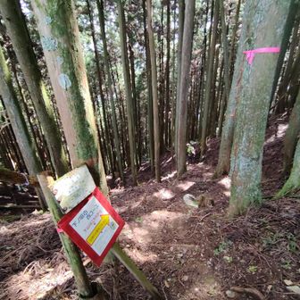 下山は西コース