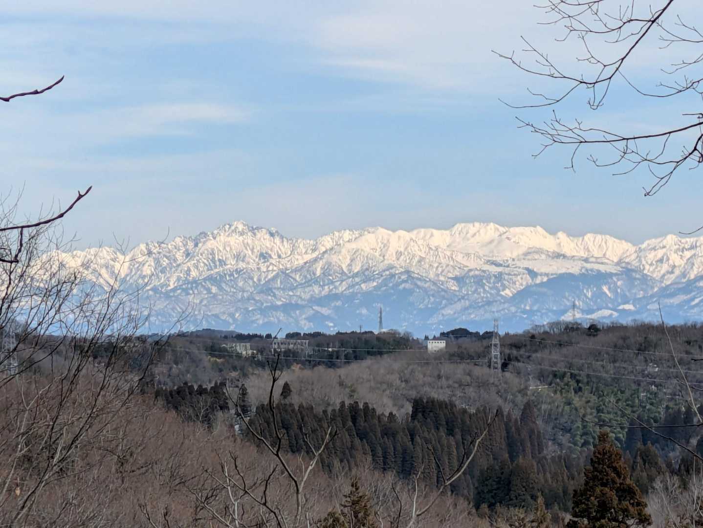 鵯山 往復コースの写真