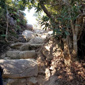 可也山や火山と違って、自然の岩が道を作ってる。
登りにくいようで、階段より単調にならないからこっちのほうがいいね👍️と一致した見解(笑)