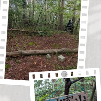 大穴山頂上
YAMAP地図では「田之入城趾の碑」の横に「大穴山」の名称を入れているが、現地では、ここに標識がある
どちらが正しい大穴山なのか？