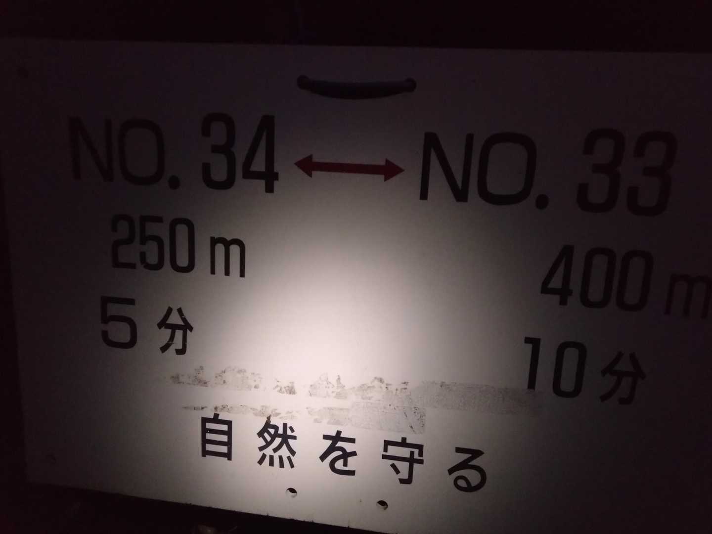分岐があったのを見落とし、鉄塔巡視路を来ていました
この後尾根に向かってルート修正