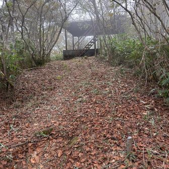 まもなく山頂です。良い具合にガスっています。