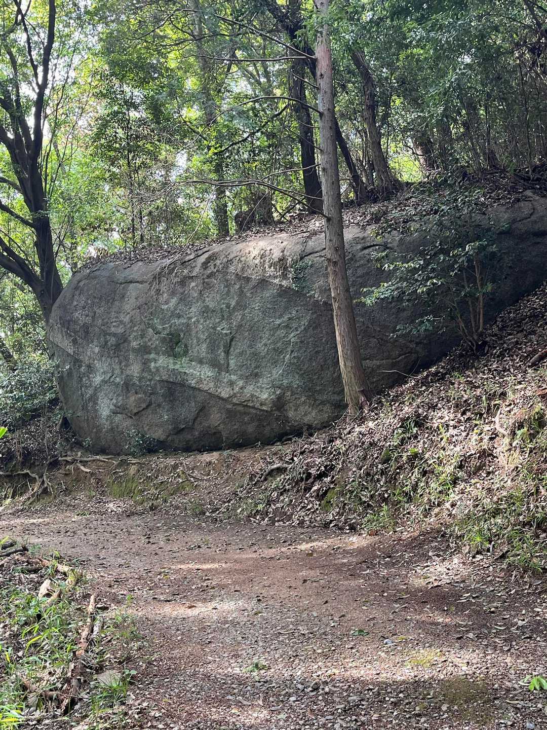 天下峯 往復コースの写真