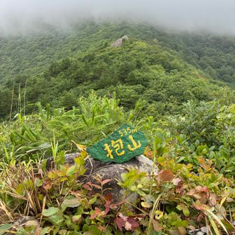 お！？
朝より視界よし！
七面山見えてら^_^
ほな今日は忙しいのでわらびを取らず下山します笑