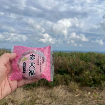 なんてまったりしていたら
スズメバチが偵察に来た🥶　二人とも黒っぽい服装💦💦低い体制で動かず様子を見る😭接近され2分ほど飛び回った後去って行った🐝　刺されたら大変だっちゅうの😭
っもー😫　仕方ない下ります😥