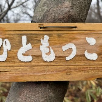 薄っすらカエル🐸さんが描かれてます！