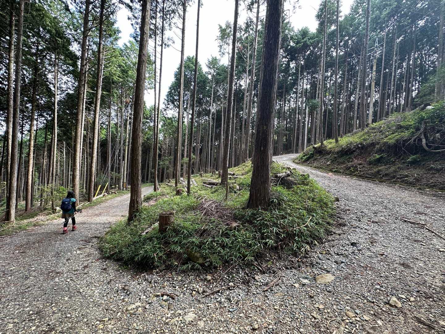 文殊山-巴山-獅子ヶ森 周回コースの写真