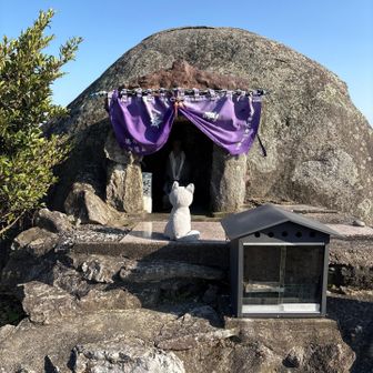 あっという間に頂上🙌
こにゃから神さまにご報告です😺　　こにゃ