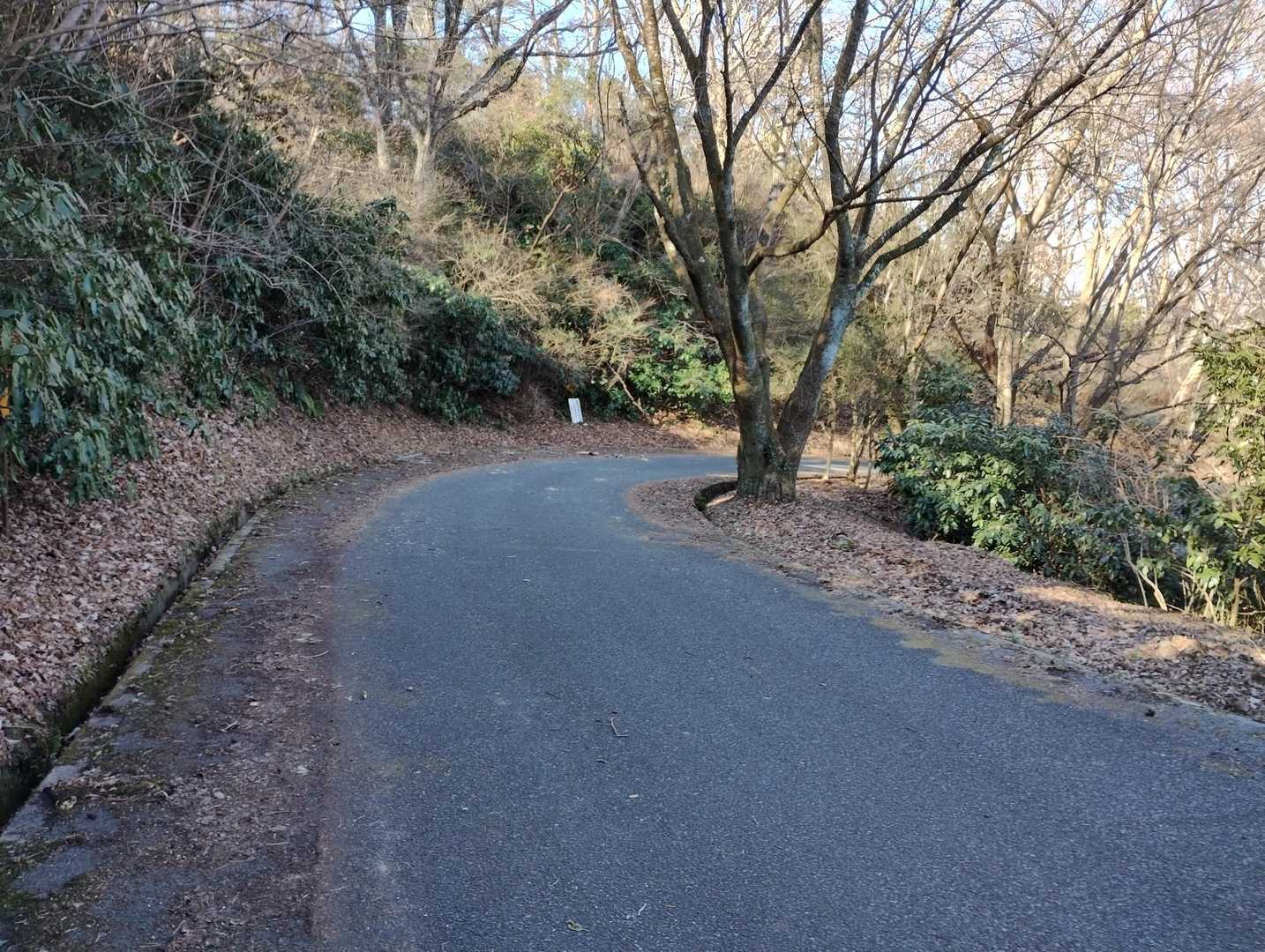 少し下ると林道に出ます☺️
林道を歩きます👍