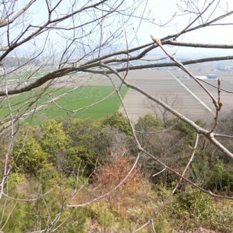 うん、枝が邪魔だね〜🤣