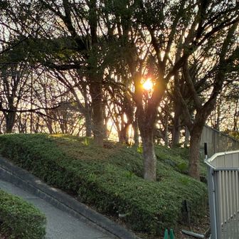 下山後の夕日✨