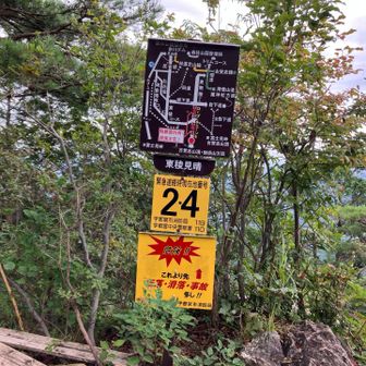 ここは、わたしには危険⚠️かな