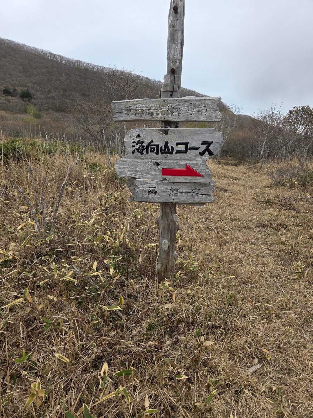 嫁さんの「行ってみよ」の声でスタートが決まりました😄
