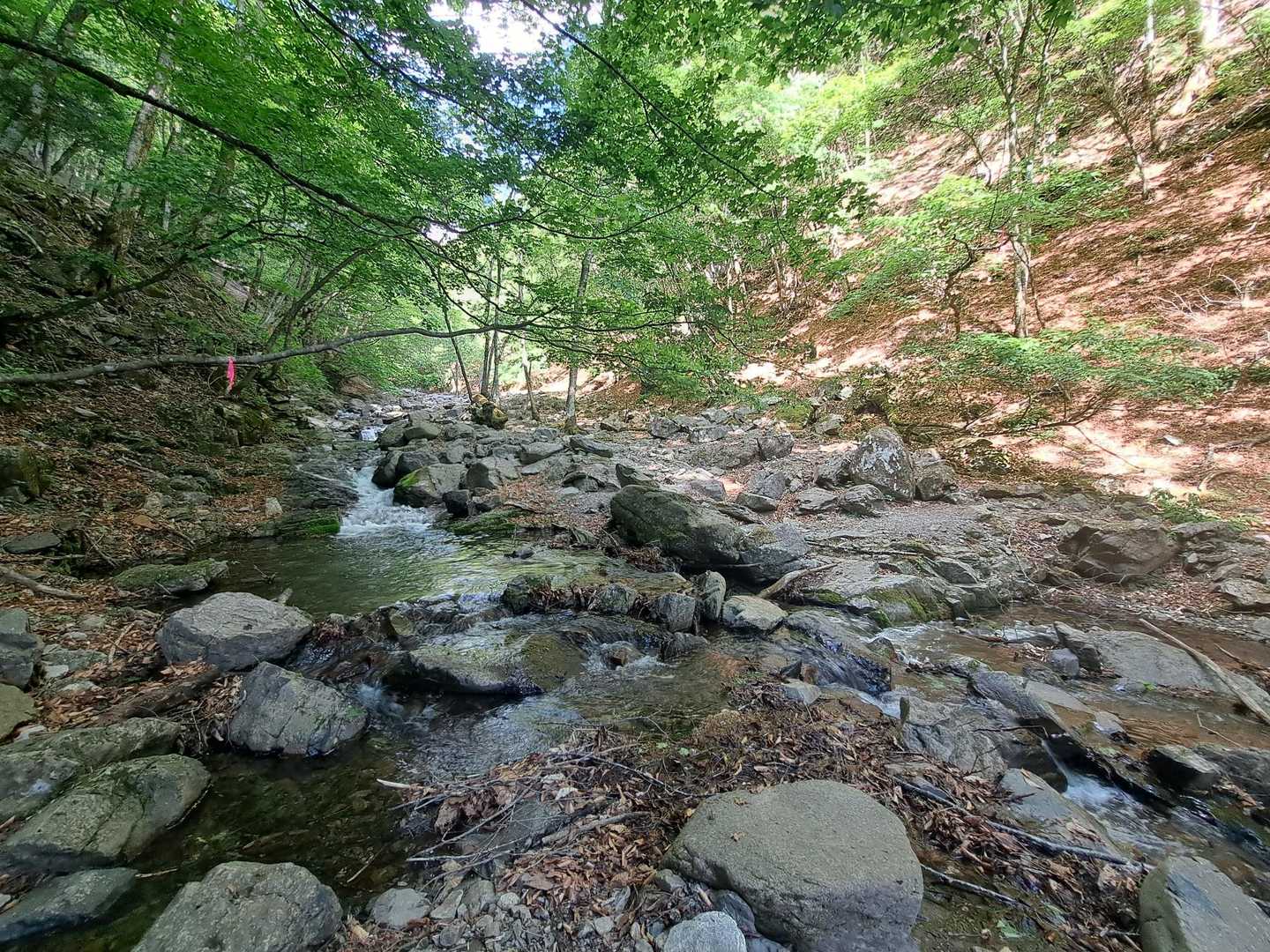川を渡る🏞どこから渡るか考えて🤔