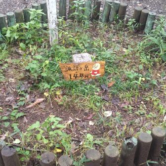 頂上らしい