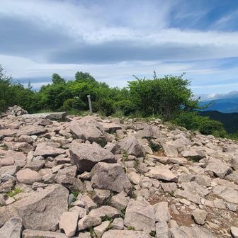 山頂無人
珍しい