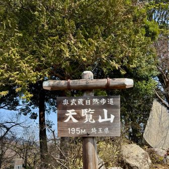 天覧山…195m

みんな大好き天覧山！

今日も多くの人たちで賑わってます