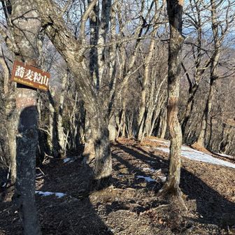 さすがに疲れた