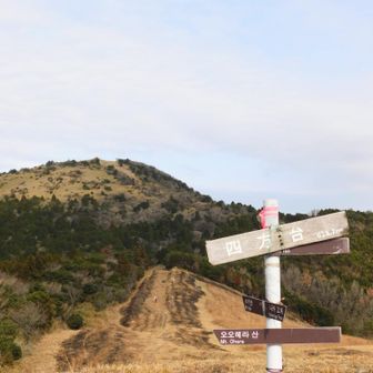 四方台 到着⛰️＊𓂃⟡.·
   618.7M

激上りにヨタヨタ…
ようやく辿り着きました

貫山の激登りをバディに味わってもらうつもりだったけど、、
四方台への激上りの方が上回ってる気がします🙄
