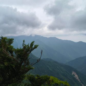 南西側!?の眺望。八経ヶ岳や弥山方向かな？