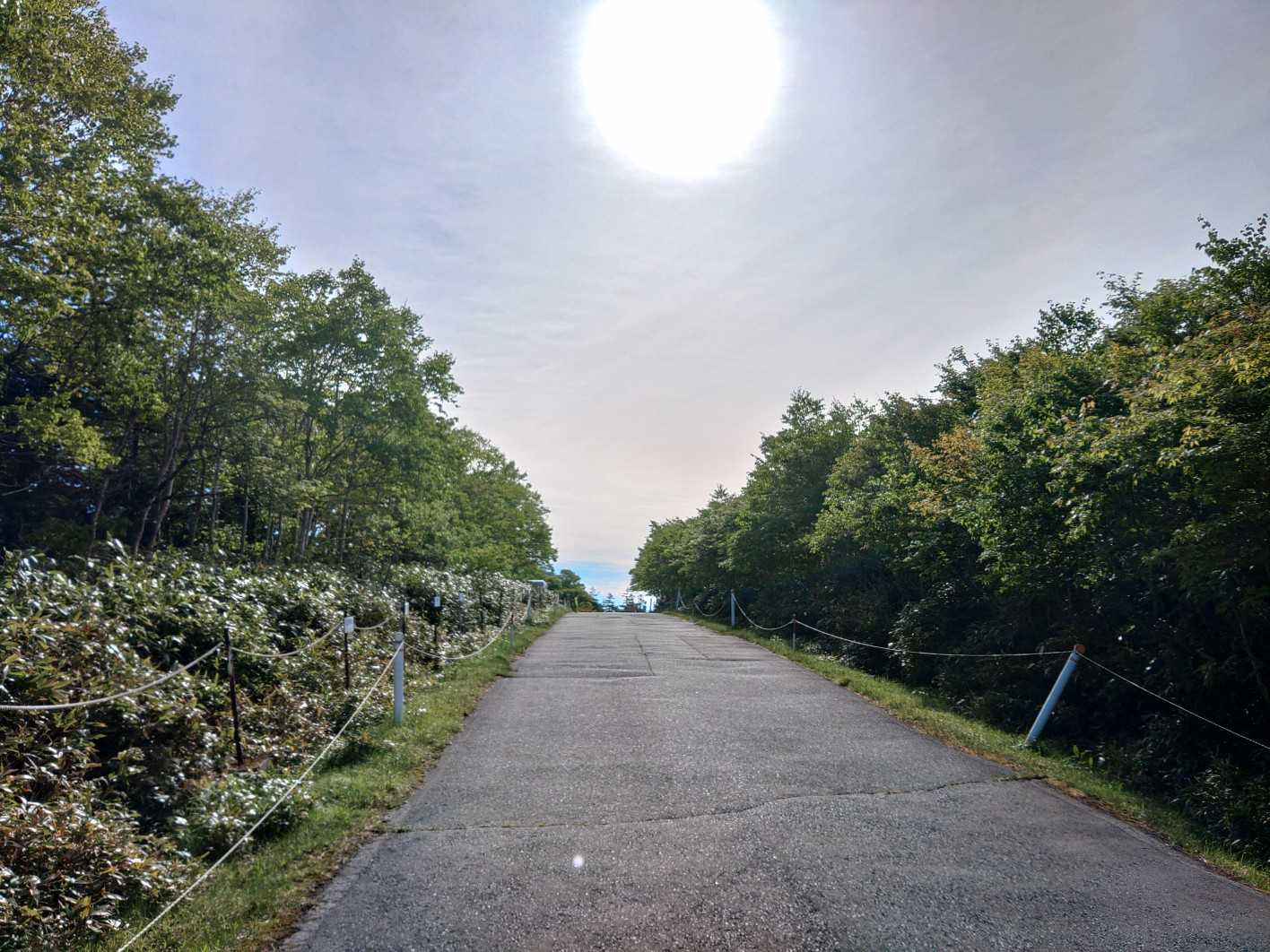 小田越-薬師岳 往復コースの写真