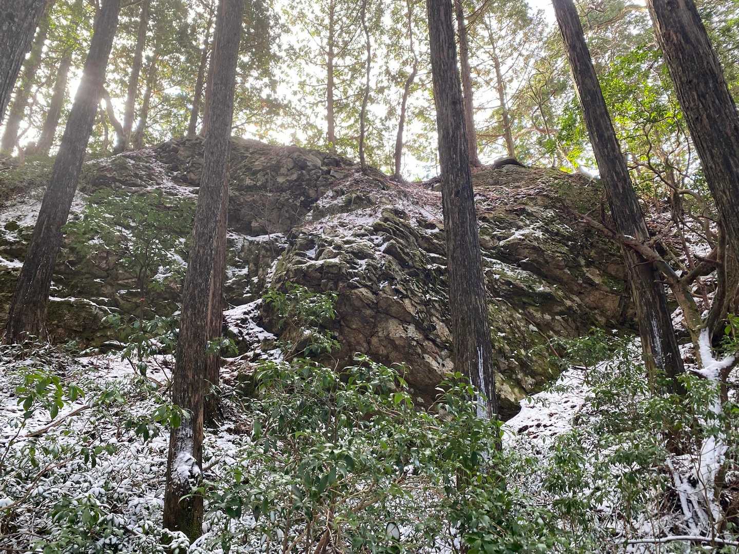 大井戸山までの登山道は大きな岩がかなりある🤔