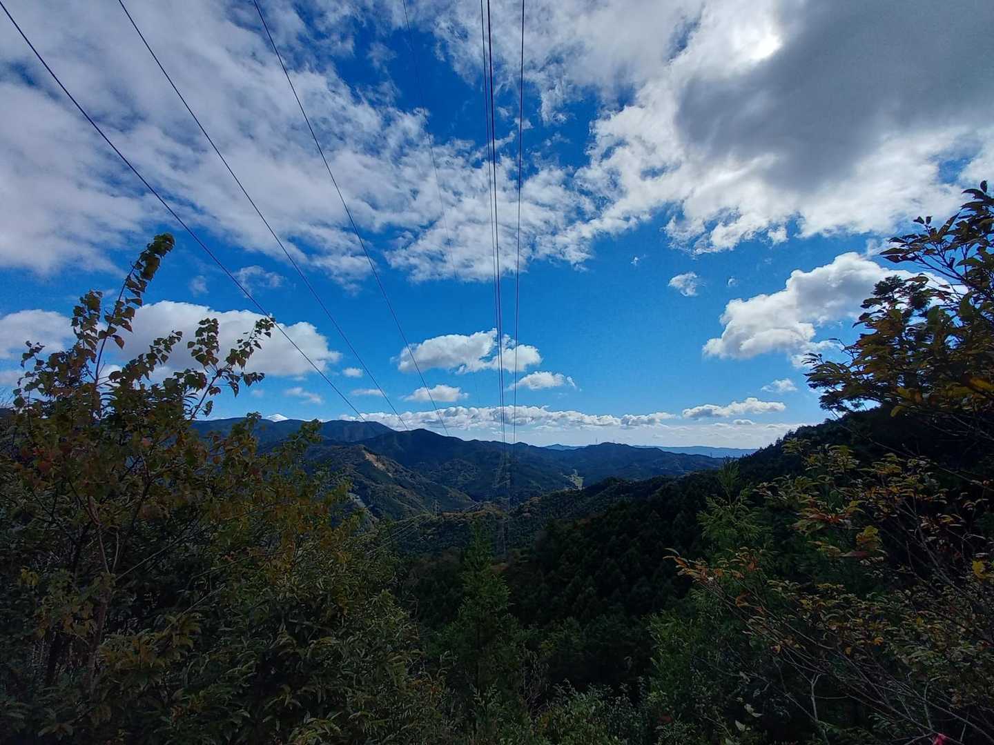 鉄塔🗼からの眺望📸