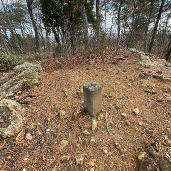 薬師の峯のピーク？
展望所の後ろに三角点