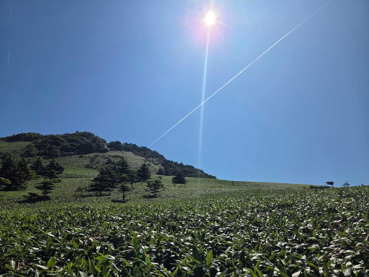 瓶ヶ森登山口発着｜四国最高峰を眺望する瓶ヶ森 周回コースの写真