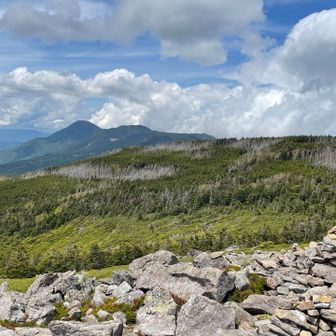 蓼科山方面

ここも縞枯あり