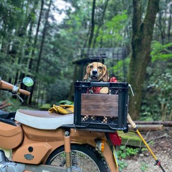 カブ🛵カブ🐶で帰るよ〜。
まったね〜🐸ゲロ。