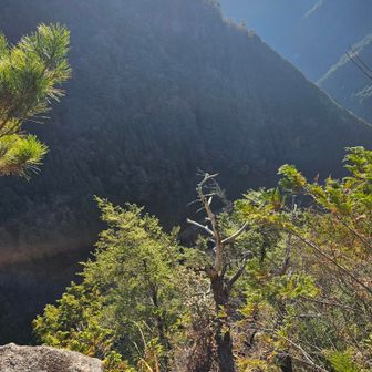 立ちました。足元は断崖絶壁、ひゅん！となりました。
惜しむらくは、バリバリの逆光でよく見えないこと。特に南は。
香落溪の向こうに見えるあのトンガリは、鎧岳かな？