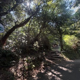 登山口