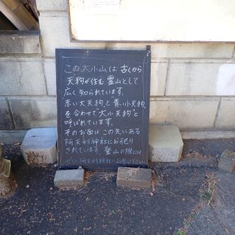 次はちゃんとお参りしましょう。