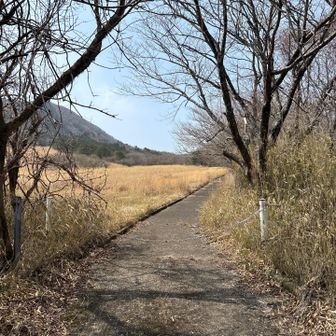 ここからスタート▶️