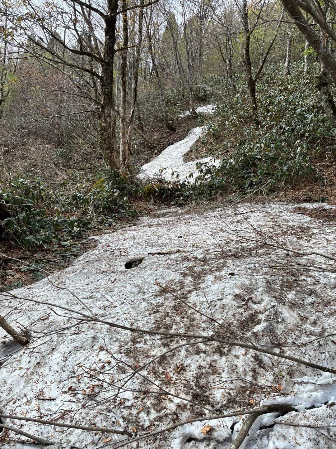 残雪。