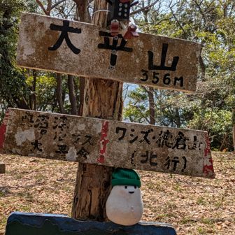 おおべらやま到着
多比バス停へ
さぁ下山するよ
