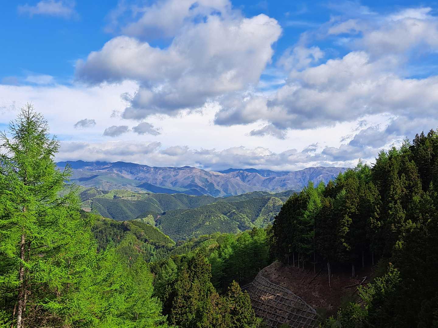 宝生山-氷室山-十二山-熊鷹山 縦走コースの写真