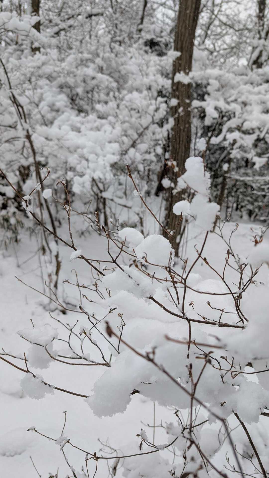 ふわふわやで