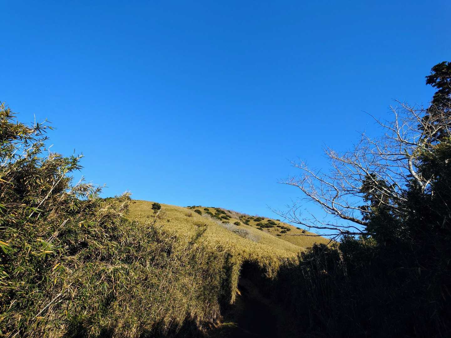 雲ひとつない青空💙
