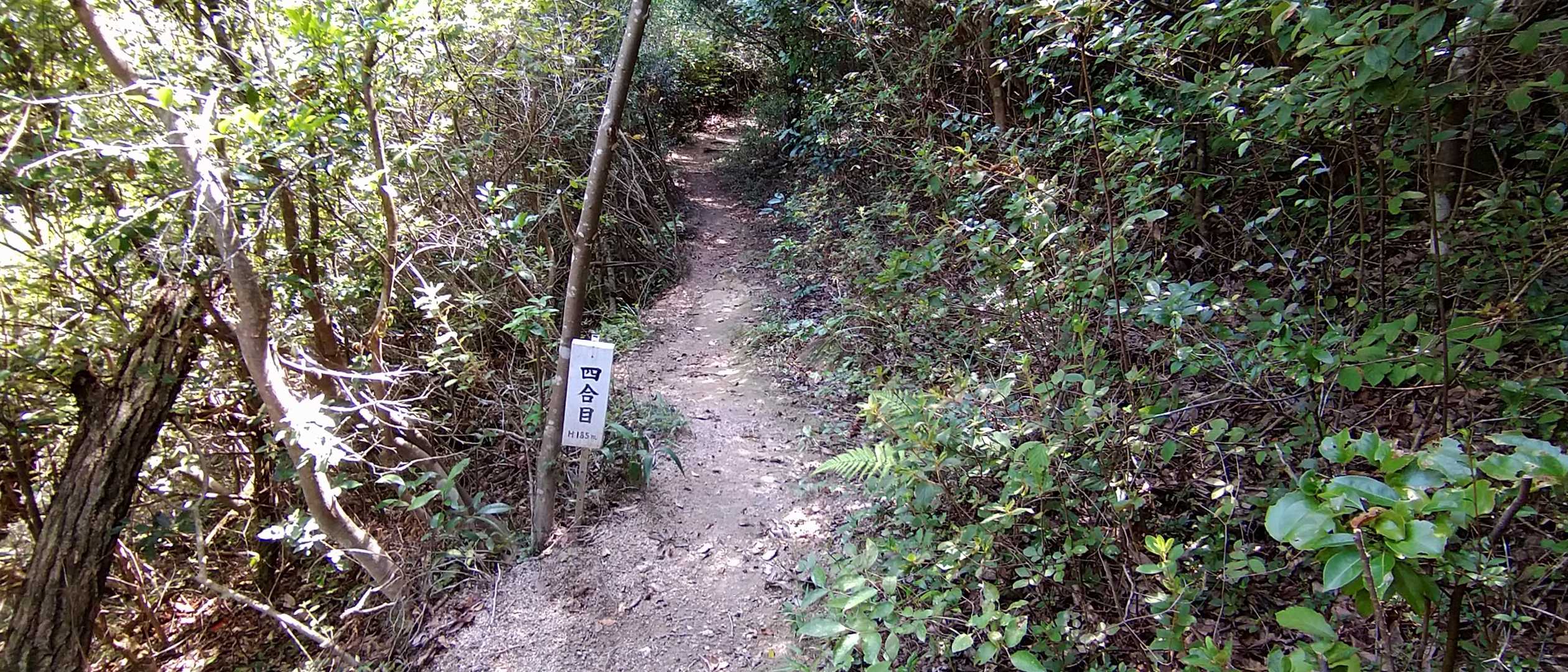 4合目、標高185m👍