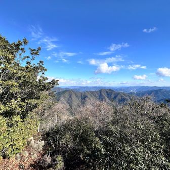 頂上手前で少し展望の良いところがある