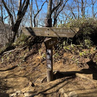 ここから鍋割山方面へ。