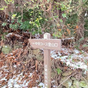 中央コースを選択