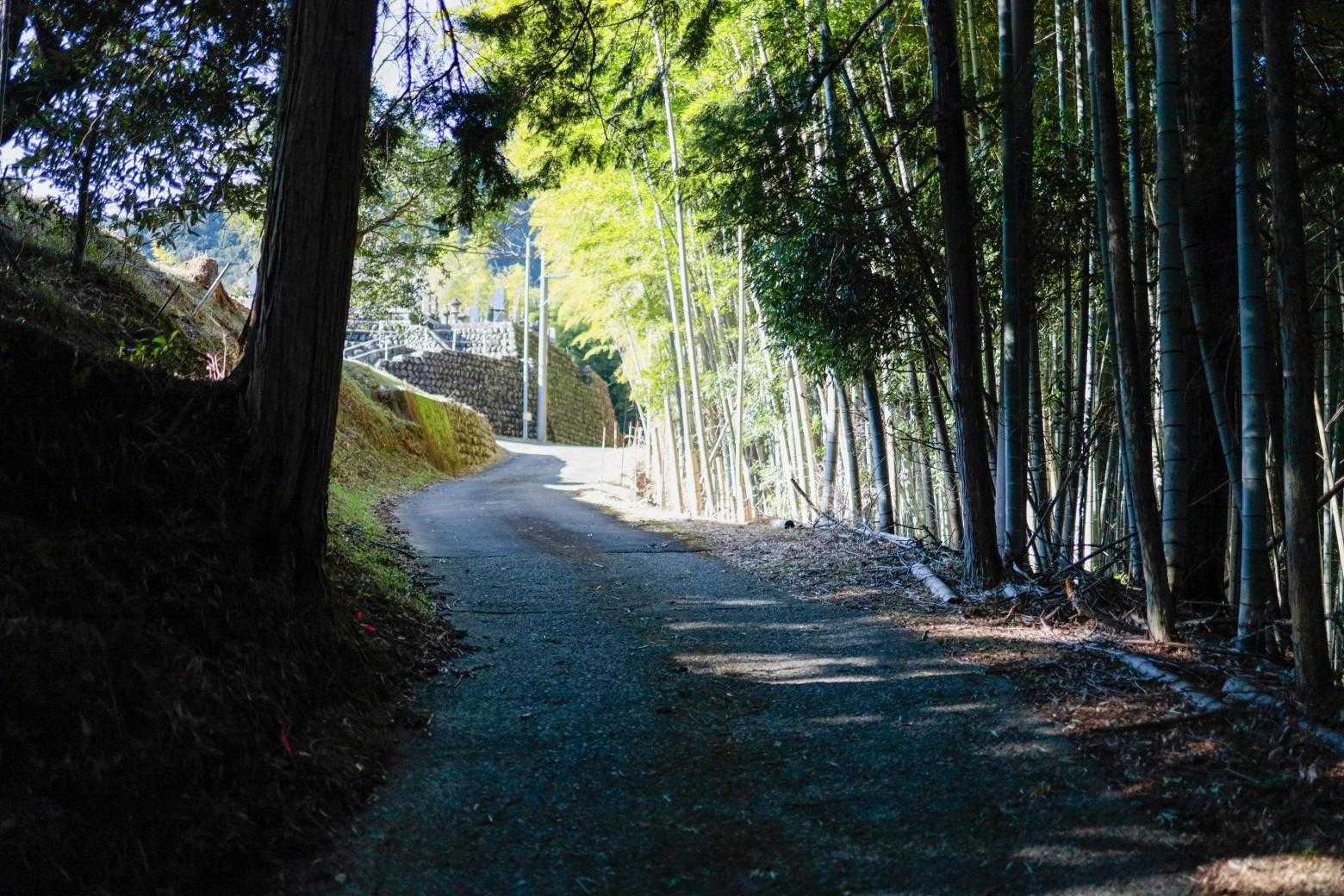 集落もあるので、しばらく車道です。