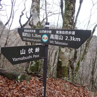 山伏峠分岐
ここから先はお初ルート