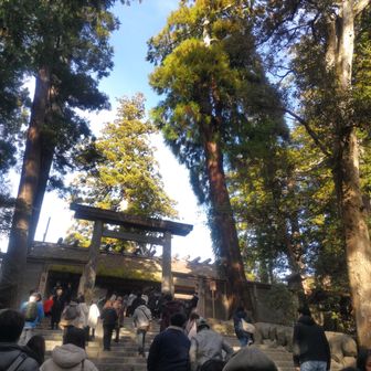 正宮に参拝、木々に囲まれた神域で心安らぐ